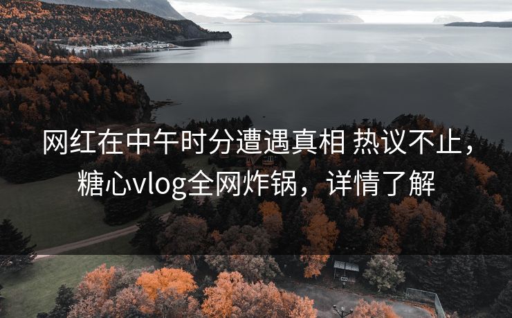 网红在中午时分遭遇真相 热议不止，糖心vlog全网炸锅，详情了解