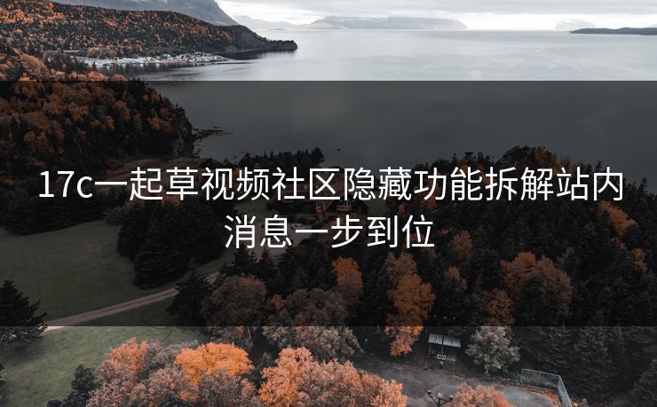 17c一起草视频社区隐藏功能拆解站内消息一步到位
